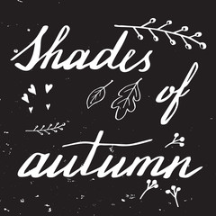 Autumn hand lettering and calligraphy design