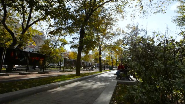 City Park. Early Fall. Green Trees, Bushes Along the Pavement. Benches in the Shadows. People Sitting, Chatting. Blue Sky. Tranquility. Light Breeze