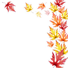Naklejka na ściany i meble Autumn maple leaves. Background. Watercolor