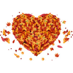 Autumn leaves in the heart frame