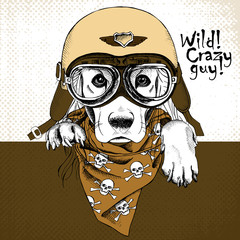 Portrait of a dog wearing the retro motorcyclist helmet and neckerchief with images a skull. Vector illustration.