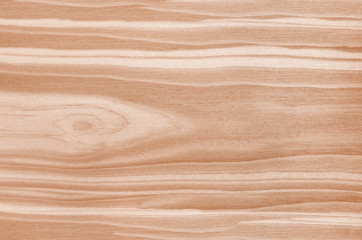 Wood texture. Lining boards wall. Wooden background pattern. Showing growth rings. light spruce, pine