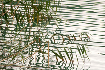 Obraz premium Valasht Lake, Mazandaran, Iran