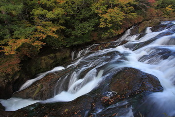 Obraz premium 岩の上を流れる川