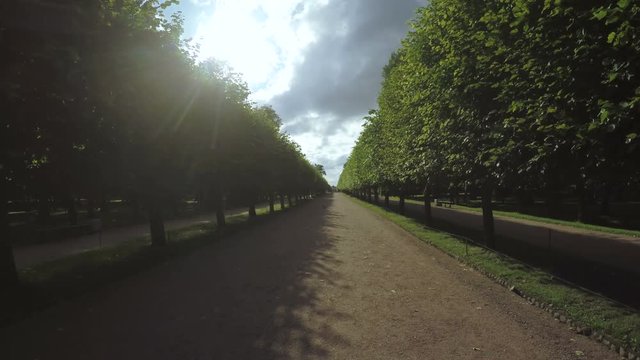 Alley in the Park in Peterhof