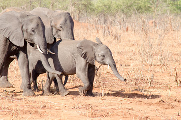 A family travelling together