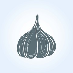 garlic icon vector