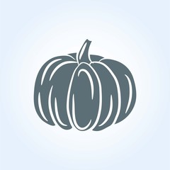 pumpkin vector illustration