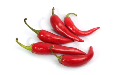 Fotobehang red chili peppers - hot spices © Евгений Кожевников