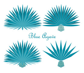 Blue agave or tequila agave plant. Vector set - obrazy, fototapety, plakaty