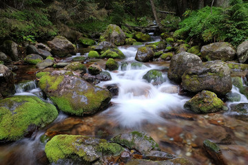 Mountain stream