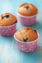 berry muffins in a pink  cases