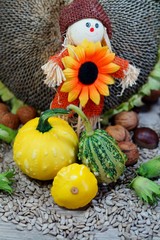 Pumpkins in the autumn nutritional diet - selective focus
