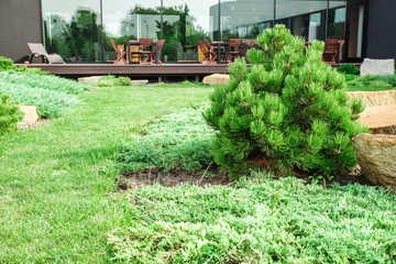 backyard with landscaping.