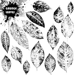 Set of grunge leaves. Isolated on white background. Vector illustration.
