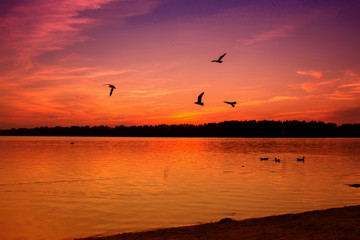 Fototapeta na wymiar Red sunset on the lake .