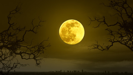 Fototapeta na wymiar Halloween concept background with full moon