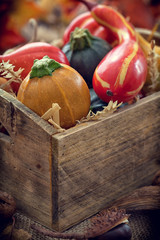 Autumn pumpkin decoration on wooden table with copy space
