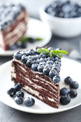 Tasty piece of cake with blueberries on wooden table