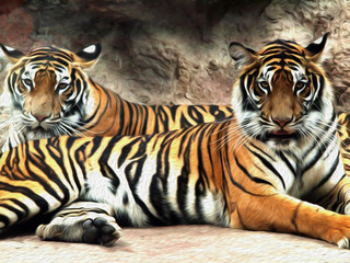 Oil painting Tiger / photo effect  Oil painting