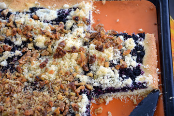 Fresh homemade blueberry cake on a baking plate on the table