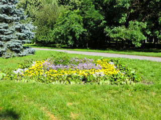 Obraz premium Flowerbed in a park