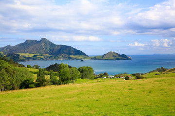 Fototapeta premium Beautiful Whangarei landscape in New Zealand
