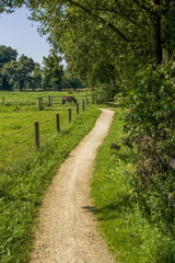 rural footpath