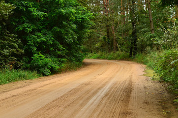 Obraz premium Country road turns left in the woods