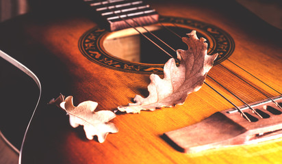 autumnal dry leaves on the guitar strings