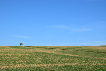 Felder im September