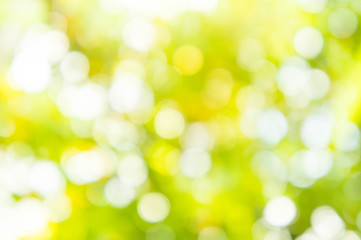 texture bokeh style , summer bokeh blur style background