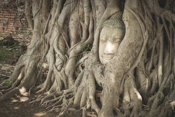Ancient Buddha Statue in tree roots at Mahatat Temple, Ayuttaya,