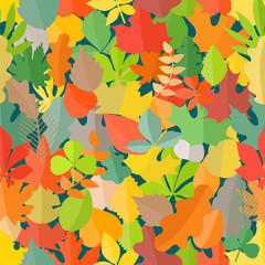 Different color autumn leaves seamless pattern