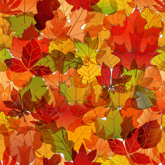 Different color autumn leaves vector seamless pattern