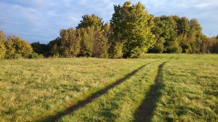 Дорога на лугу