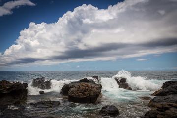 Fototapeta premium Coastal dump-site Kauai, Hawaii