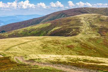 Naklejka premium road through a meadow on hillside