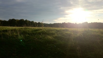 Лучи солнце в поле