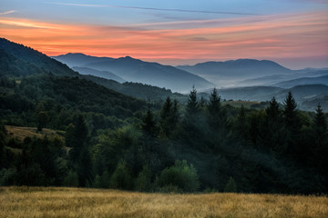 coniferous forest on a steep mountain slope in evening