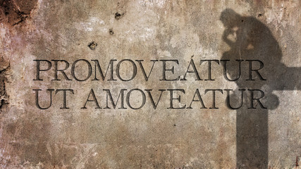 Promoveatur ut amoveatur. A Latin phrase meaning Promove to get