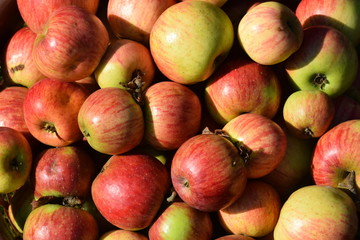 Äpfel als Hintergrund