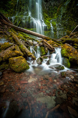 Proxy Falls Oregon