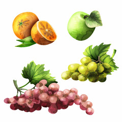 Grapes, Apple, orange. Watercolor set