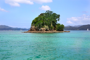 Obraz premium Whitianga Harbor, Whitianga, Coromandel Peninsula, NZ