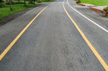 Road in the park