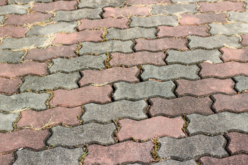 old worm brick block texture background