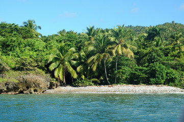 The white beaches of the Dominican Republic. jungle adjacent to the edge of the Caribbean Sea. Photo partially tinted