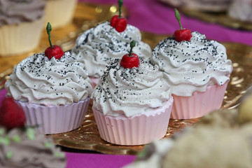 The cupcake clay and plaster