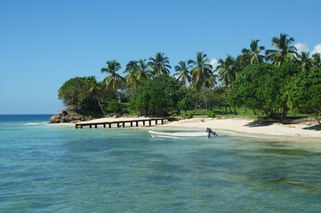 The white beaches of the Dominican Republic. jungle adjacent to the edge of the Caribbean Sea. Photo partially tinted